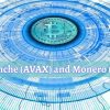 Future-of-Avalanche-Coin
